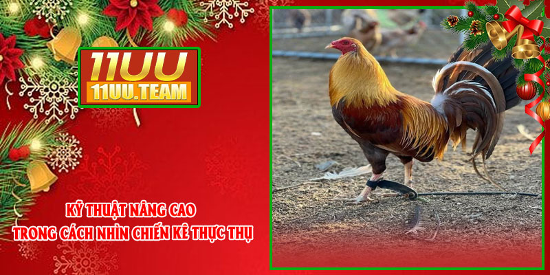 Kỹ thuật nâng cao trong cách nhìn chiến kê thực thụ
