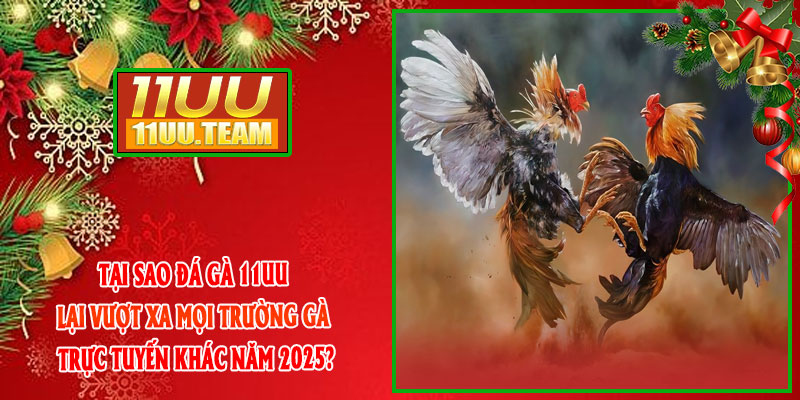 Tại sao Đá Gà 11UU lại vượt xa mọi trường gà trực tuyến khác năm 2025?