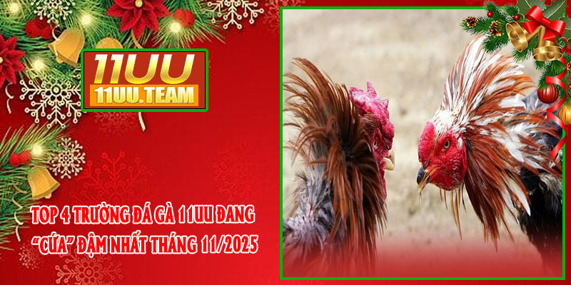Top 4 trường Đá Gà 11UU đang “cứa” đậm nhất tháng 11/2025